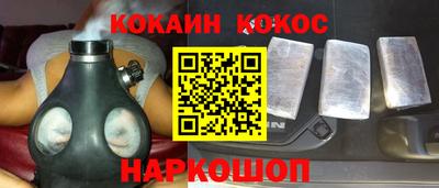 шишки Новодвинск