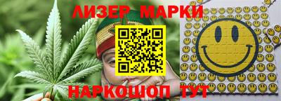 шишки Новодвинск