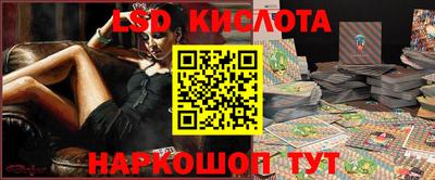 шишки Новодвинск