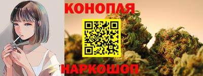 шишки Новодвинск