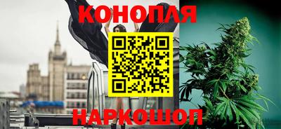 шишки Новодвинск