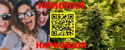 2c-b Новозыбков
