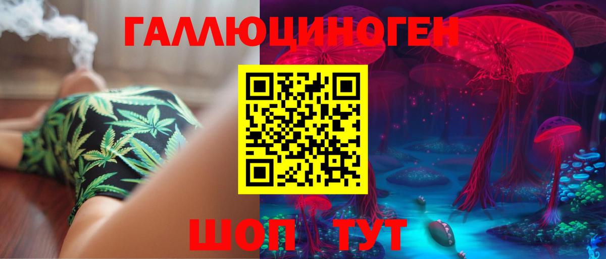 Псилоцибиновые грибы мухоморы Тамбов