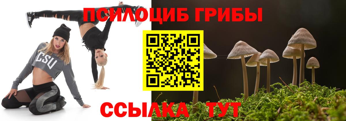 Тамбов  как найти закладки  Галлюциногенные грибы Cubensis  Вход с VPN  Галлюциногенные грибы Psilocybine cubensis 